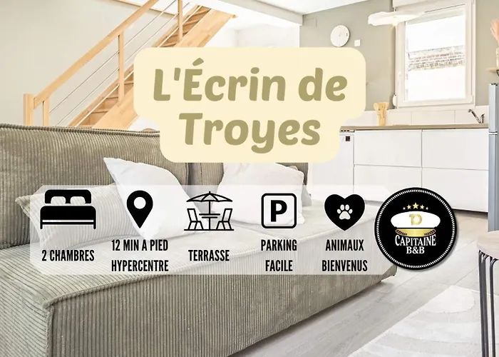 L\'Ecrin De Troyes - Maison De Ville - 4 Pers.